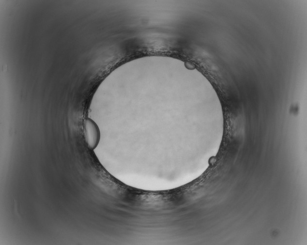 X0000098160419200805011435