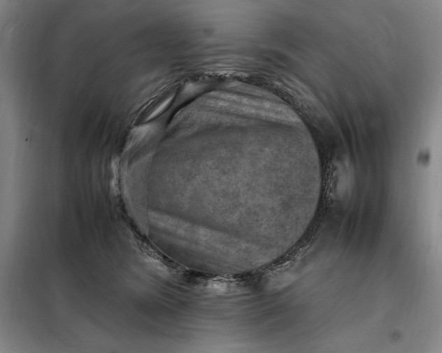X0000098160420200805011435