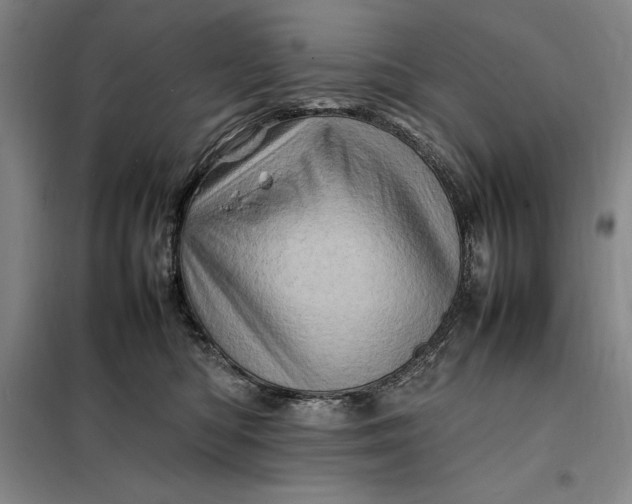 X0000098160422200805011435