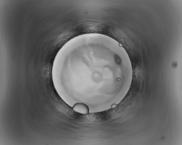 X0000098160423200805011435