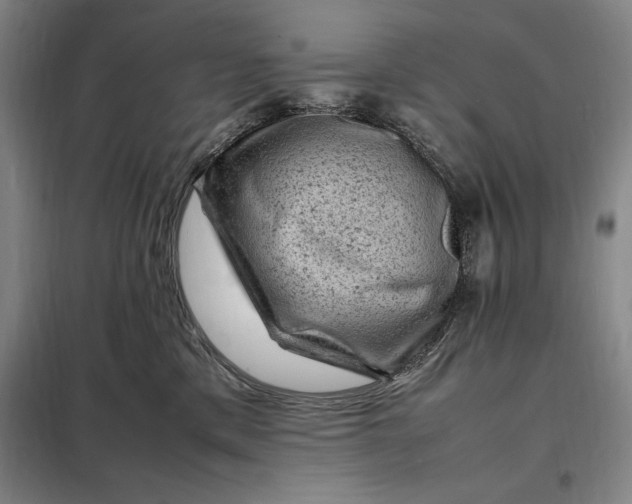 X0000098160425200805011435