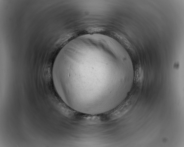 X0000098160426200805011435