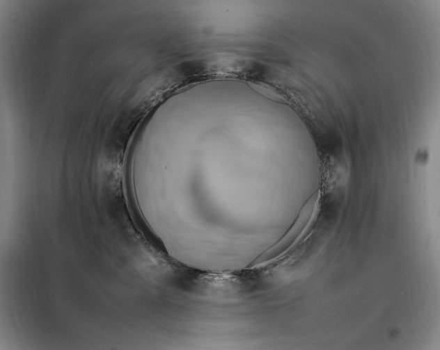 X0000098160427200805011435
