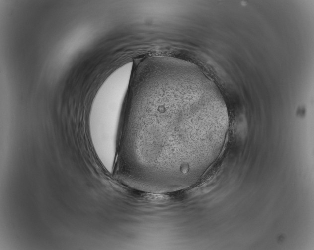 X0000098160429200805011435