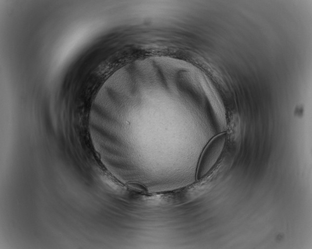 X0000098160430200805011435