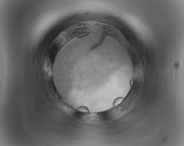 X0000098160431200805011435