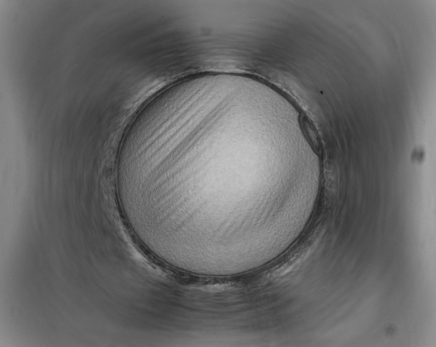 X0000098160433200805011434