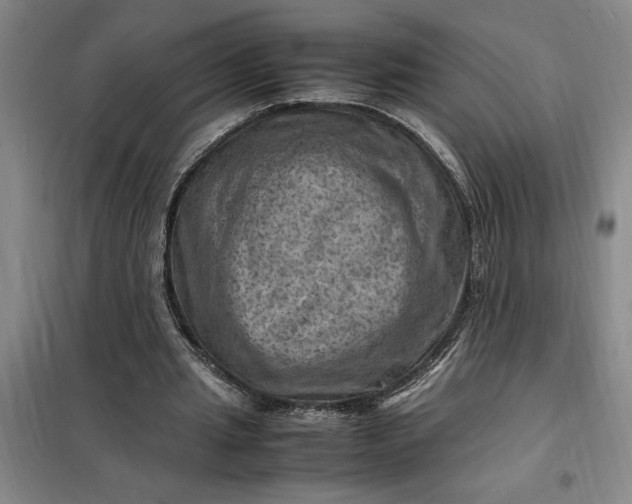 X0000098160437200805011434