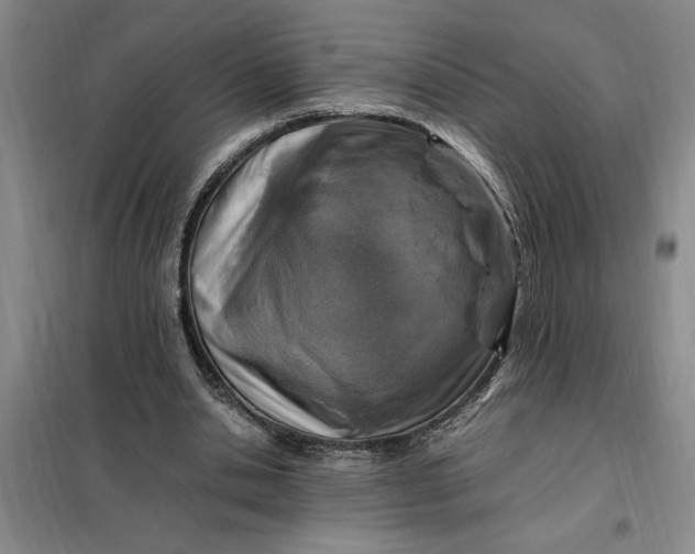 X0000098160438200805011434