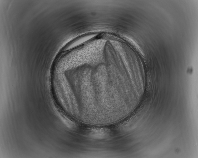 X0000098160439200805011434