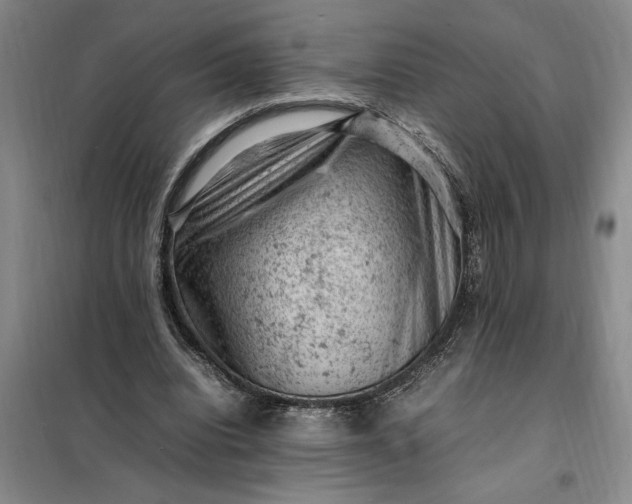 X0000098160440200805011434