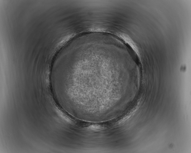 X0000098160441200805011434