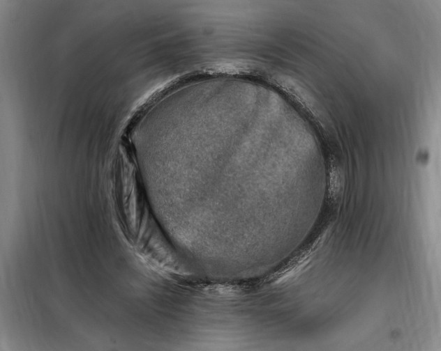 X0000098160444200805011434