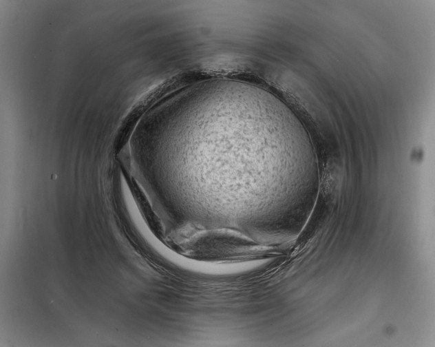 X0000098160448200805011434