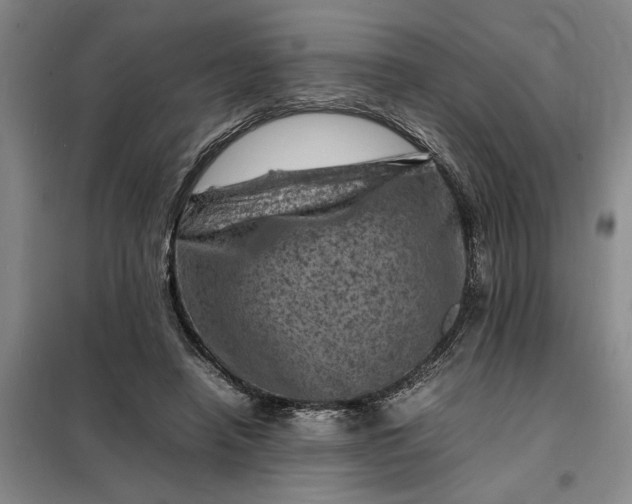 X0000098160450200805011434
