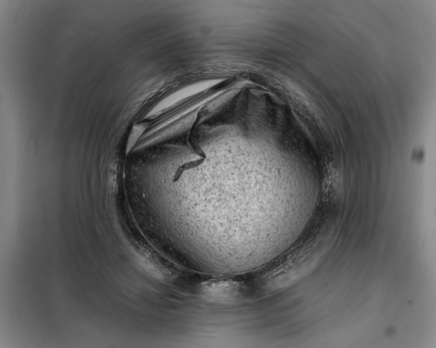 X0000098160452200805011434