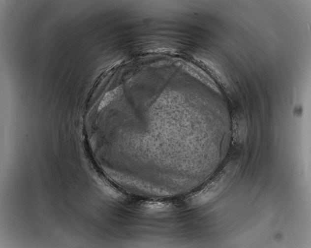 X0000098160453200805011435