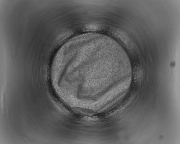 X0000098160455200805011435