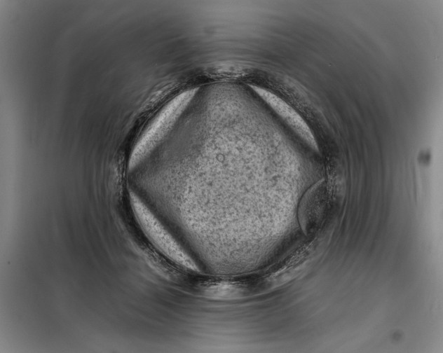 X0000098160460200805011435