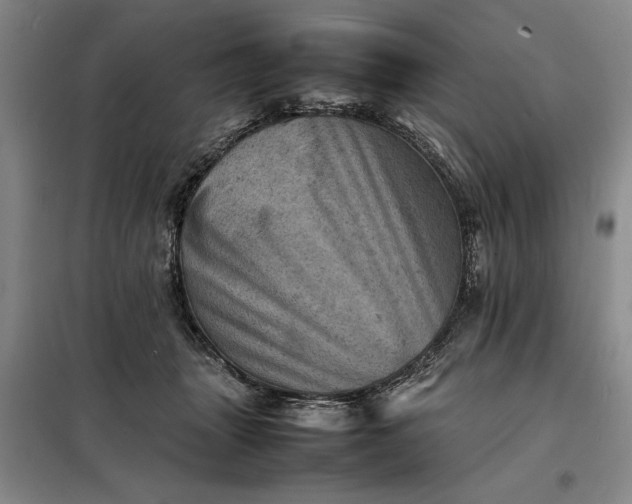 X0000098160463200805011435