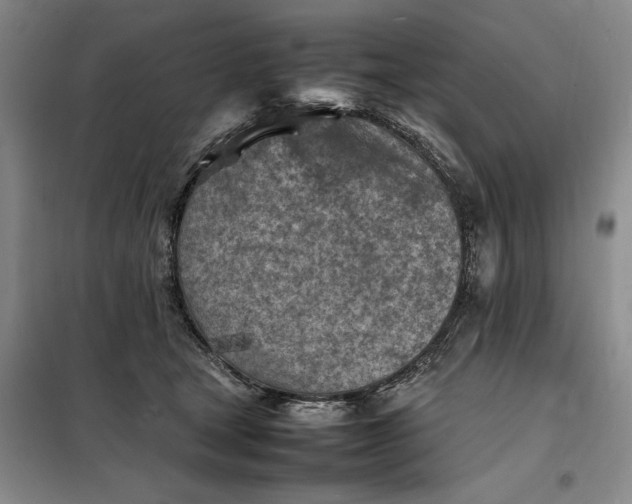 X0000098160465200805011435