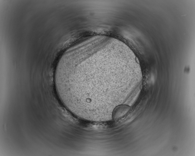 X0000098160466200805011435