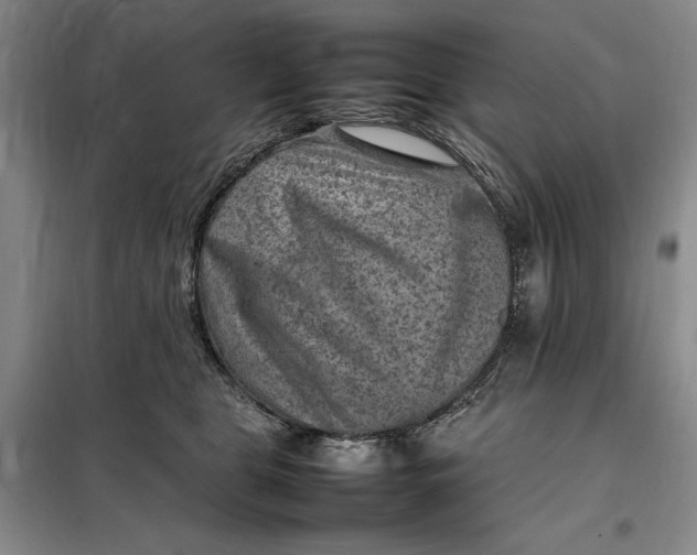 X0000098160469200805011435