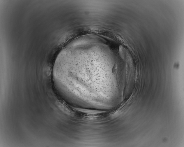 X0000098160472200805011435