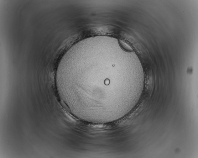 X0000098160473200805011435