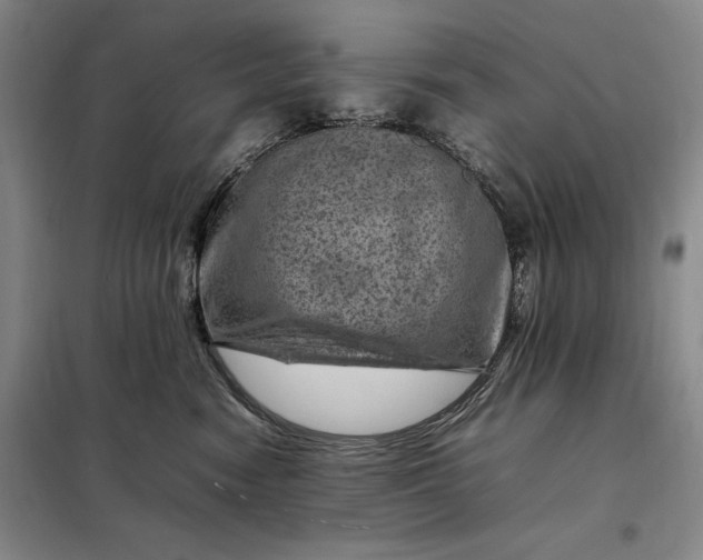 X0000098160474200805011435