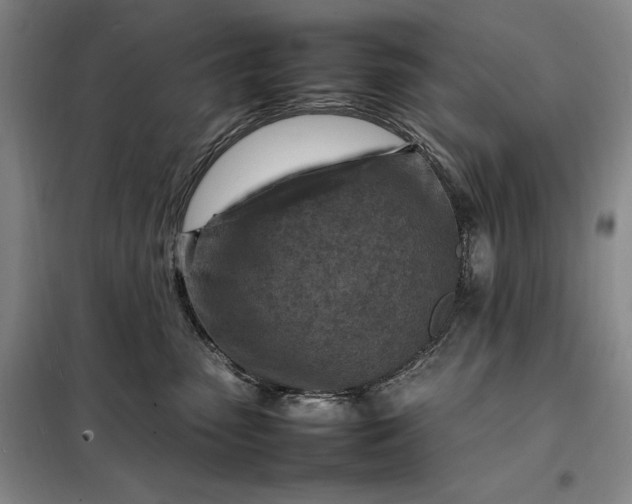 X0000098160475200805011435