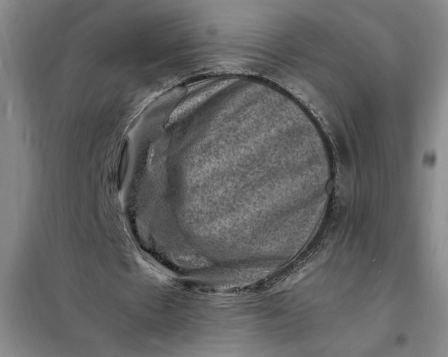 X0000098160481200805011434