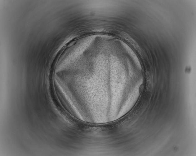 X0000098160482200805011434