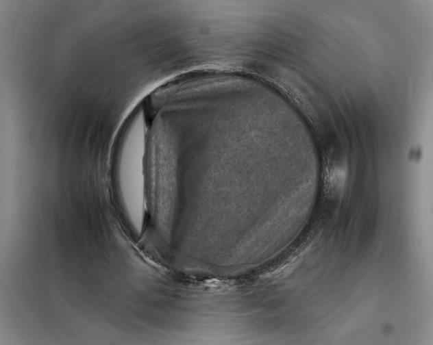 X0000098160484200805011434