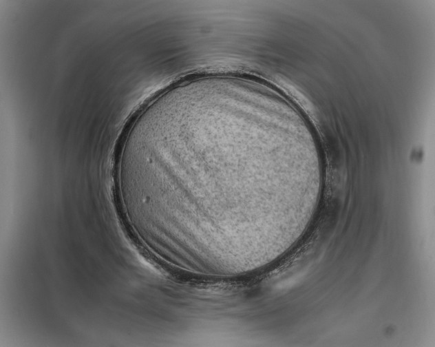 X0000098160485200805011434