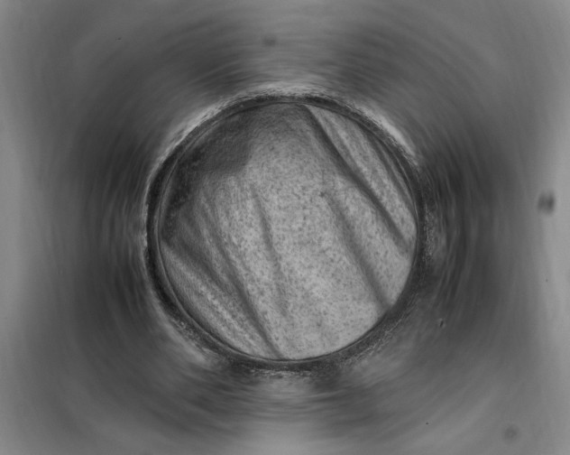 X0000098160486200805011434