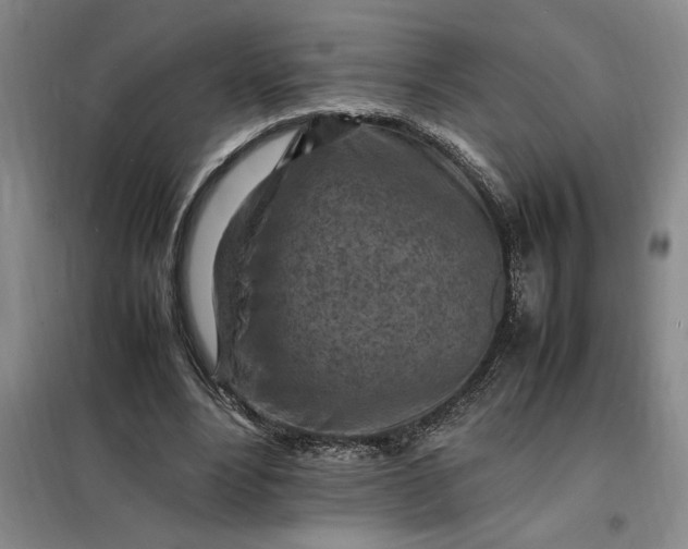 X0000098160488200805011434