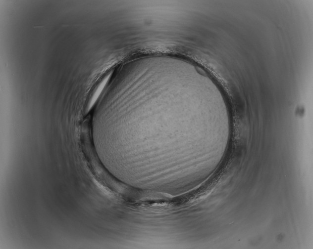 X0000098160489200805011434
