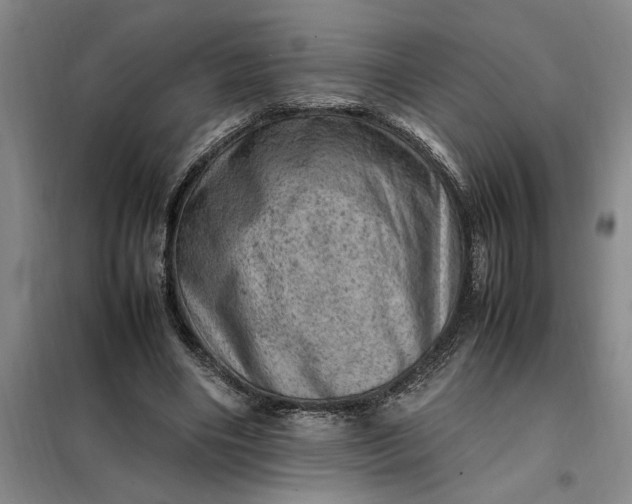 X0000098160490200805011434