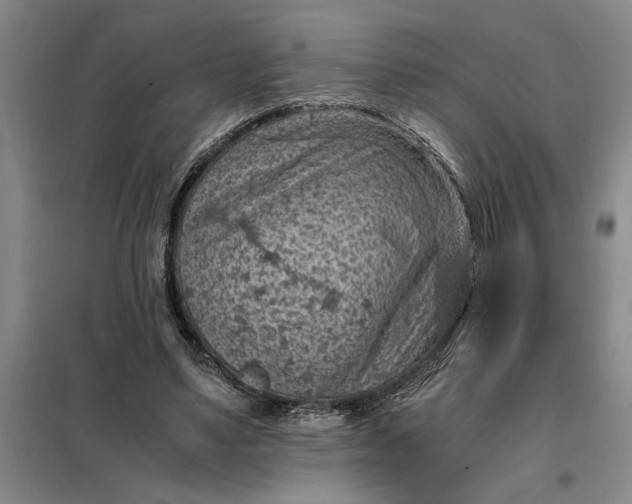 X0000098160491200805011434
