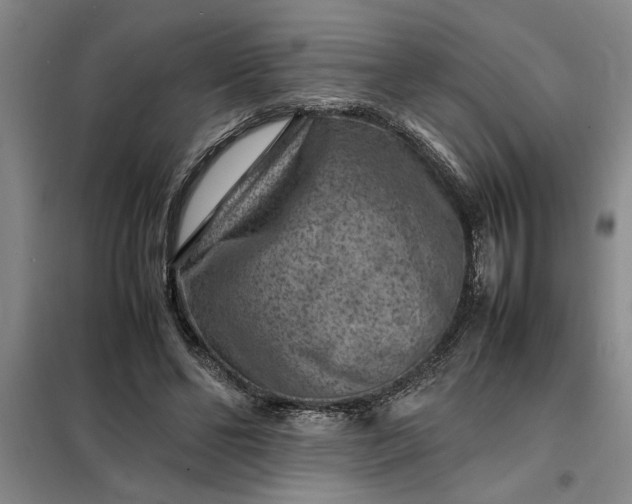 X0000098160494200805011434