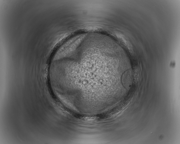 X0000098160495200805011434