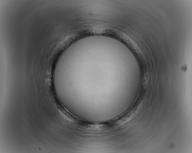 X0000098160497200805011434