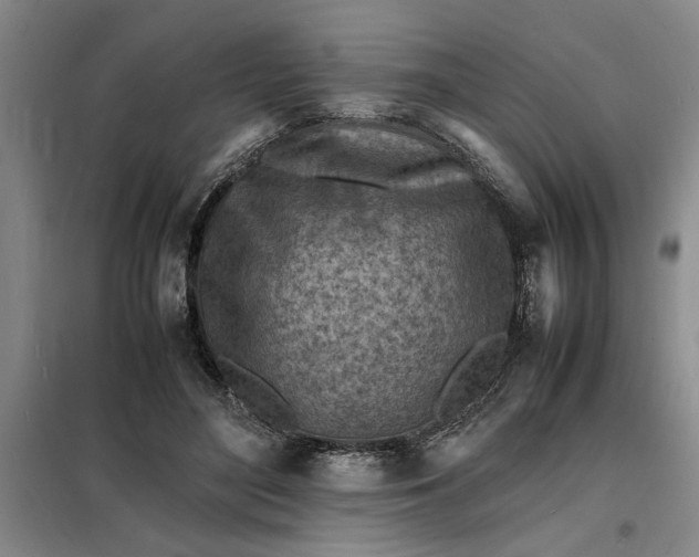 X0000098160500200805011434