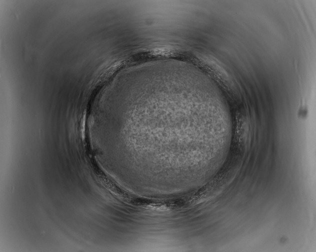 X0000098160502200805011434