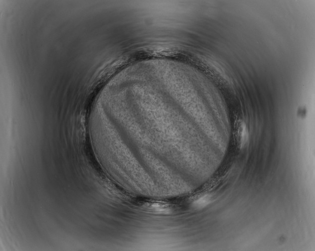 X0000098160506200805011434