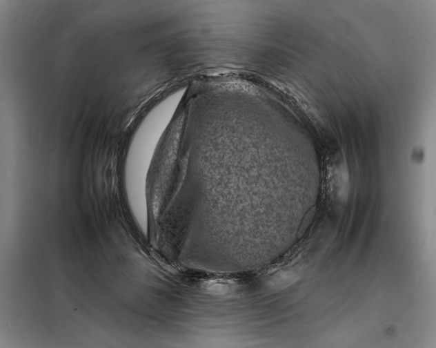 X0000098160508200805011434