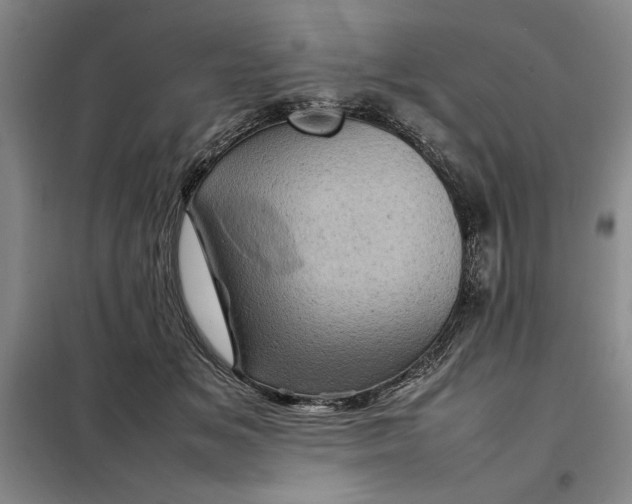 X0000098160509200805011434