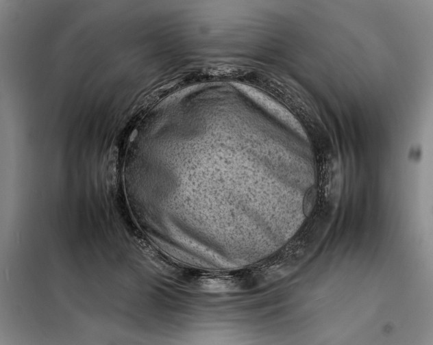 X0000098160510200805011434