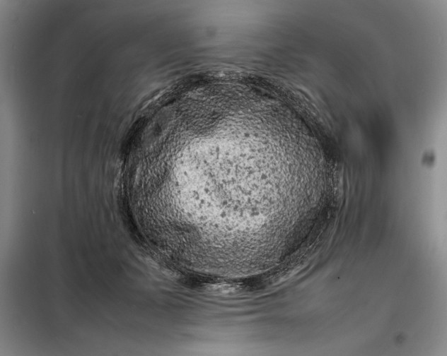 X0000098160511200805011434